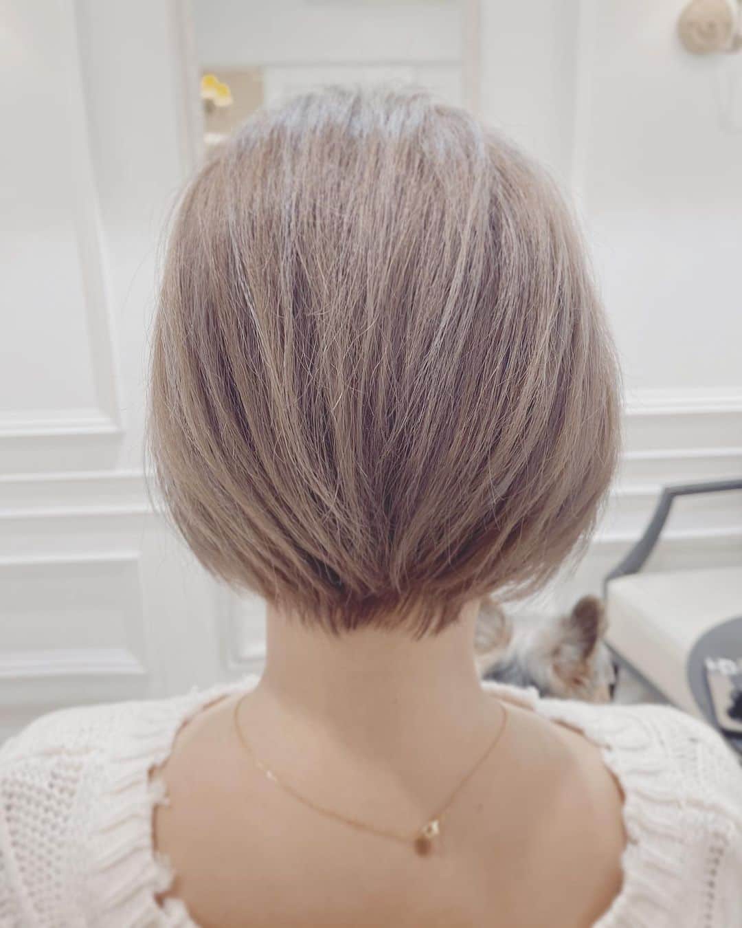 池田沙代さんのインスタグラム写真 - (池田沙代Instagram)「. 髪型🌼🌼 ✂️ @allyssuke1216  後ろと横も🙆‍♀️ ▶︎▶︎swipe▶︎▶︎ . . .」2月13日 9時35分 - sayopi