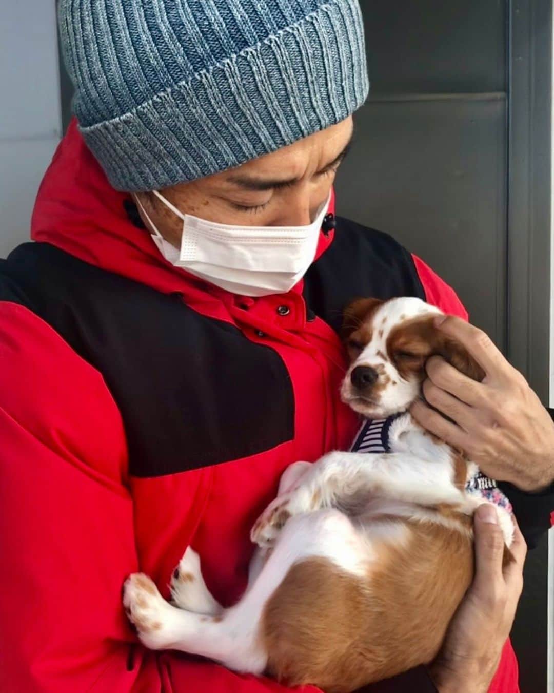 末續慎吾のインスタグラム：「﻿ ﻿ ﻿ ﻿ 頑張る﻿ ﻿ ﻿ 頑張っても報われない‥﻿ ﻿ 良く聞きます。﻿ ﻿ そんな時はどうしたらよいでしょうか？﻿ ﻿ ﻿ #EAGLERUN末續慎吾#陸上#かけっこ#オリンピアン#頑張るって何でしょう#可愛い#キャリーちゃん#妹の犬#スヤスヤ﻿」