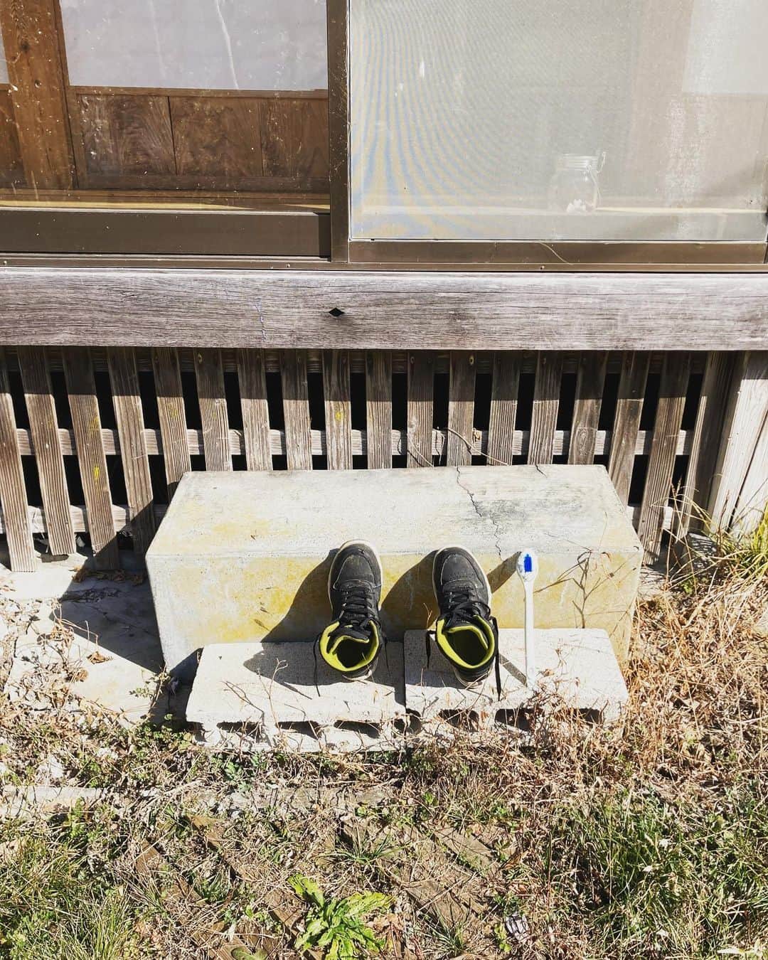 のインスタグラム：「昨日歩いてたら、トラップのような底無し泥沼にいきなりズボッと両膝下まではまり、抜けなくなり、倒木につかまり、靴が取れそうになりながら、ファイトーー！いっぱーーつ！的に辛うじて脱出するという、インディー・ジョーンズの出演者だっけワタシ、みたいな経験をしました。人生何があるか分からないねー。」