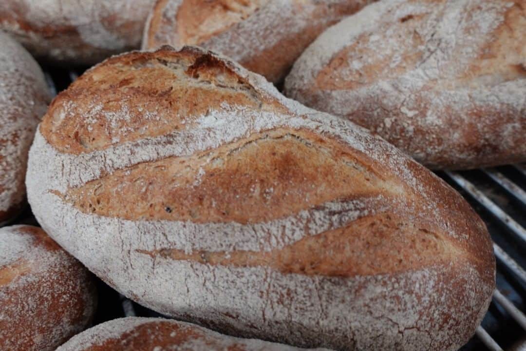 魔女菅原のインスタグラム：「パン・ペイザンは田舎風のパンという意味のフランスのパンです。フランスのパンは棒状のバゲットに代表されるような都会的なパンと、カンパーニュなどのような名前からして牧歌的な田舎風パンに二分される気がします。このパン・ペイザンは農夫が作って売っているイメージだそうです。小麦全粒粉とライ麦粉が多く配合され、野趣たっぷりの風味ともちもちしつつザクッとした食感も独特です。食物繊維、ミネラル分も多く、ヘルシーなハード系パンです。 ＃パンペイザン　#食物繊維　＃ハード系パン　#全粒粉　#ライ麦粉　＃発酵種法　＃自家製天然酵母のパン屋さんカンパーニュ　#魔女菅原　＃盛岡　＃盛岡パン　＃盛岡パン屋　＃盛岡のパン屋さん」