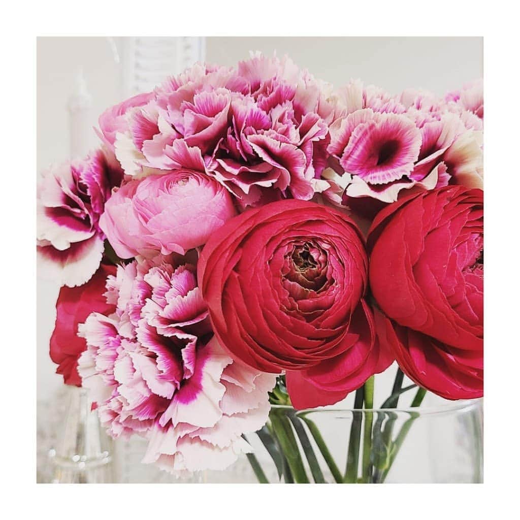 彩乃かなみのインスタグラム：「﻿  ここ最近 ﻿ こういう華やかな色のお花を飾りたくなっています﻿ ﻿ 公演の影響かな…？﻿ 家に帰るととても癒されます💓﻿ ﻿ ﻿ #flowers﻿ #happylife﻿ #beautifullife﻿ #マリーアントワネット﻿」