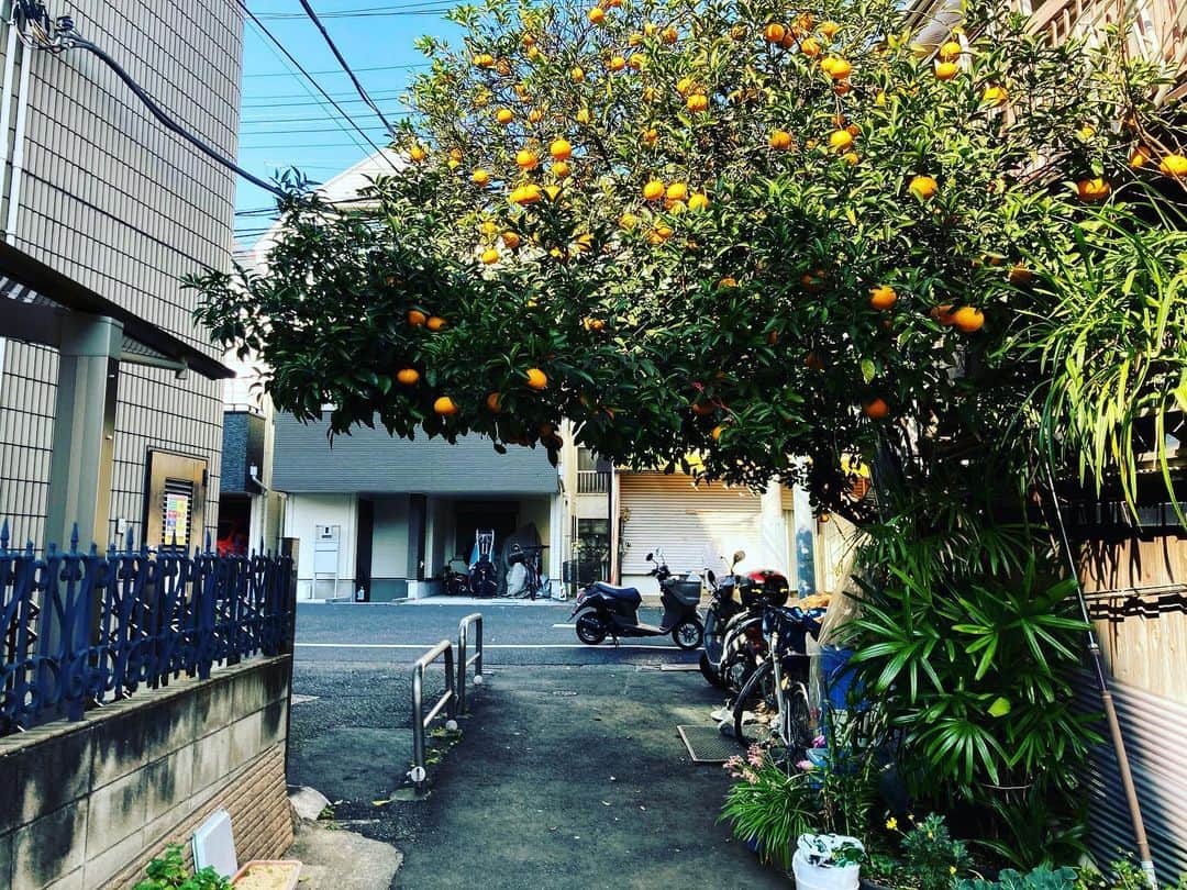 のインスタグラム：「本日の朝ラン。#run #running  #朝ラン　#城南エリア」