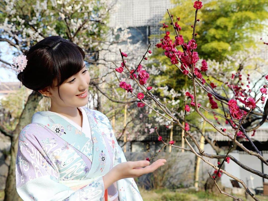 谷中麻里衣のインスタグラム：「Plum blossoms 🌸  芝公園をお散歩していたら、満開の梅を撮影していたカメラマンの方が撮ってくださいました🥰 ポージング指導までありがとうございました✨  東風吹かば　にほひをこせよ　梅の花 主なしとて　春な忘れそ  #芝公園#梅#着物#小紋#麻里衣きもの」