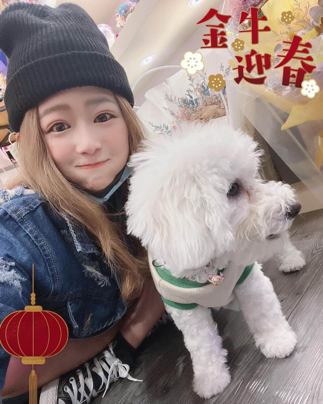 徐薇涵（Wei Han Xu）のインスタグラム：「我這樣坐下來.. 跟牠的身高還沒差多少餒🤣 牠是花店店長嚕嚕米 是隻小比熊喲🐶  #很懂鏡頭」