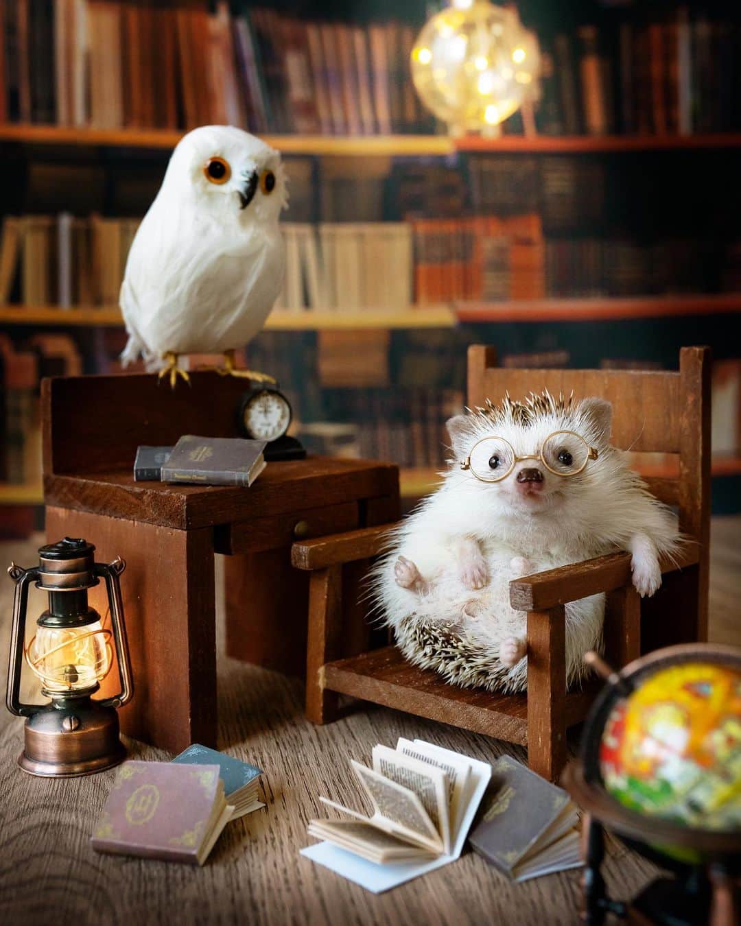 のインスタグラム：「Hedgehogwarts Library👨‍🎓🦉📚」