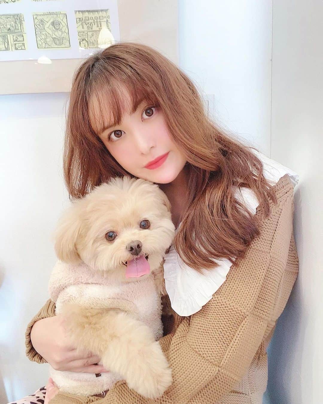 津久江麻由のインスタグラム：「. . 🤍 𝐇𝐚𝐩𝐩𝐲 𝐛𝐢𝐫𝐭𝐡𝐝𝐚𝐲 𝐭𝐨 𝐋𝐨𝐯𝐞𝐥𝐢 🤍 . ずーっと一緒だよ🤍  . #犬のいる暮らし #犬バカ部 #愛犬との暮らし #ザラジョ #ザラジョコーデ #毎日コーデ #お気に入りコスメ #コスメ大好き #メイク好き #デパコス #コスメ紹介 #今日のメイク  #今日のコスメ #プチプラコスメ #おすすめコスメ コスメ好き #メイク好き #今日のコーデ #今日のコーディネート #本日のコーデ  #ラフコーデ  #プチプラコーデ #ぷちぷらコーデ #GU #ジユジョ #ジユパト #ダイエット #ダイエッター #ダイエッターさんと繋がりたい」