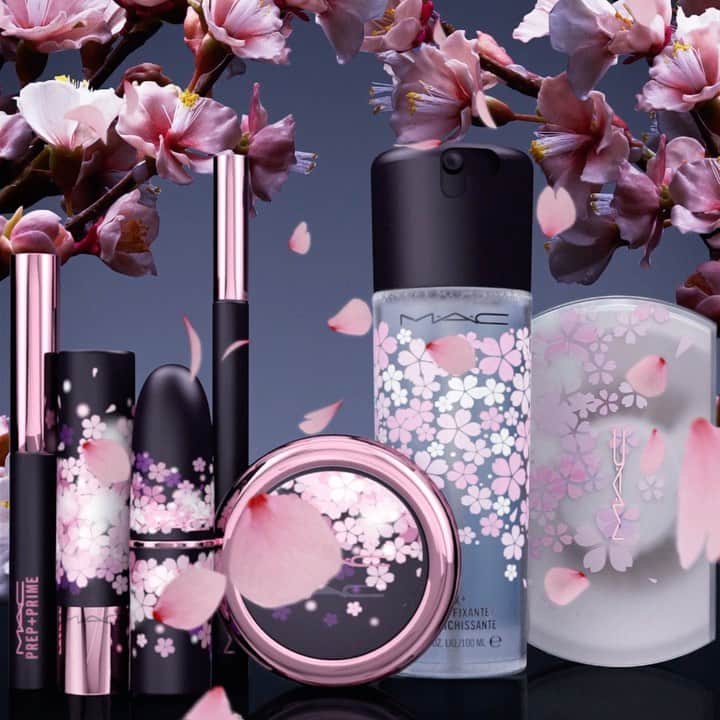 M∙A∙C Cosmetics Japanのインスタグラム：「この春、月の下で #桜 が咲き誇る🌸限定の夜桜パッケージのカラーコレクション💄 詳細をお楽しみに✨ ㅤ #MACBLACKCHERRY *3/4(木) 公式オンライン先行発売 *3/5(金) 全国発売」