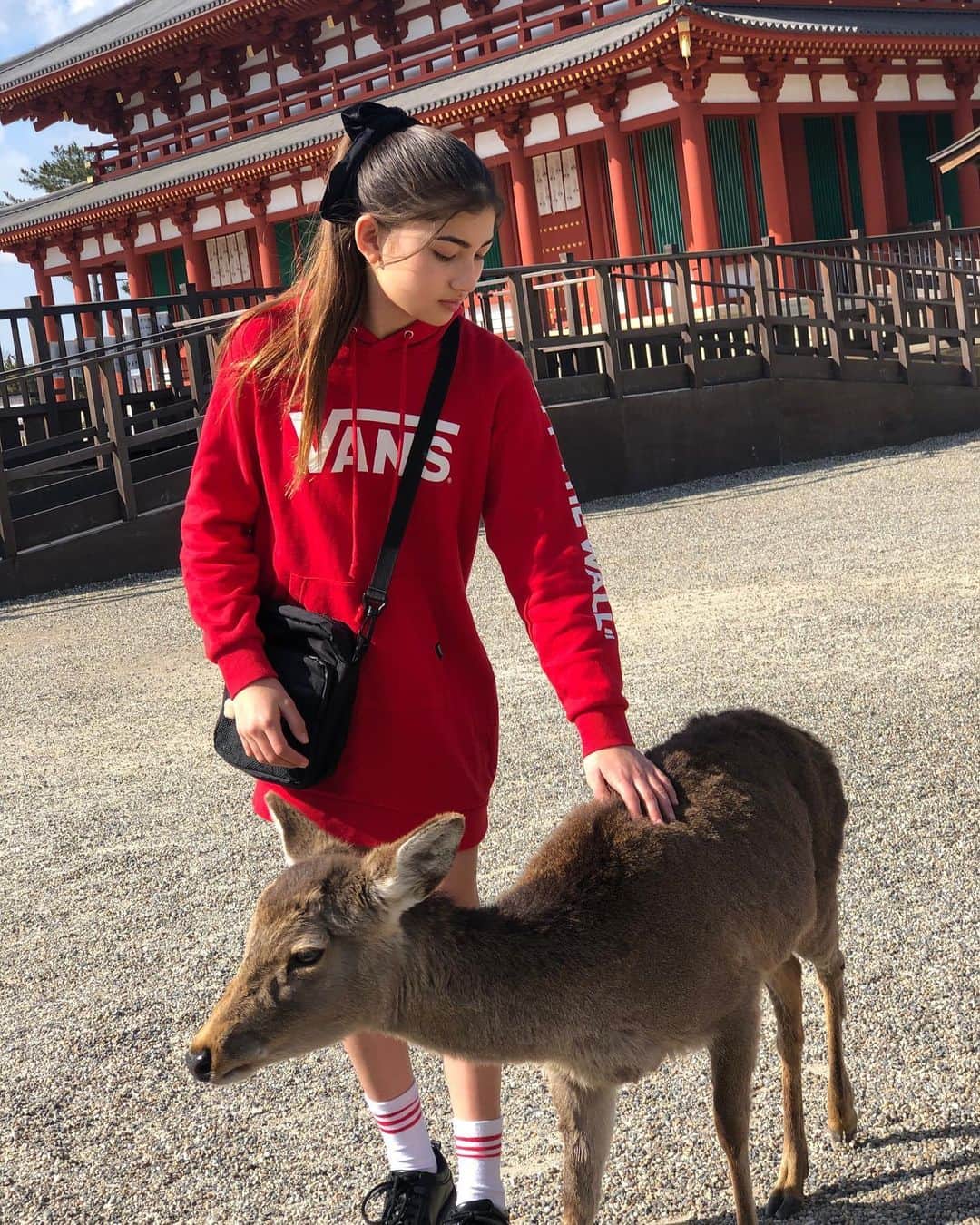りりあさんのインスタグラム写真 - (りりあInstagram)「Deer Park🦌 かわいい❤️  #鹿公園 #奈良 #deer #deerpark #nara #weekendfun #ootd #vanz #sweartdress #casualstyle #teenfashion」2月13日 21時09分 - lilliakarina