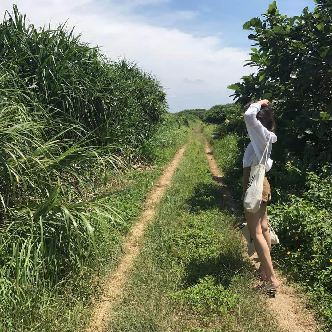 高田茉実さんのインスタグラム写真 - (高田茉実Instagram)「4.5年前からの石垣旅行と 一昨年の。。 またはやくいきたいな🤍🤍 #おーりーとーりまみこの旅  ↑なつかしい。🤍」2月13日 21時19分 - __mamico