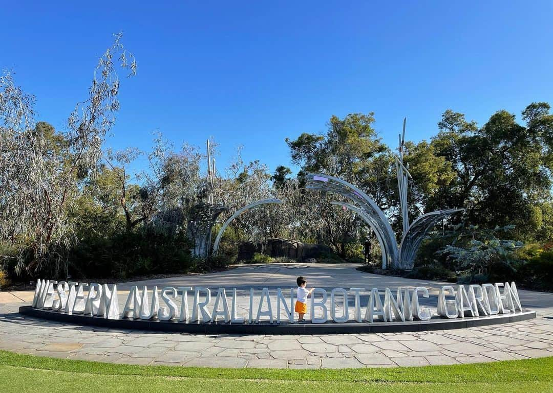 太田宏介さんのインスタグラム写真 - (太田宏介Instagram)「『Kings Park』 パースの観光名所・キングスパーク。 自然と都市が融合した美しい街。 子供にこの景色を見せることができて幸せの極み。 何より天気が最高！☀️ #パース  #太田宏介」2月13日 21時19分 - kosuke_ota_official