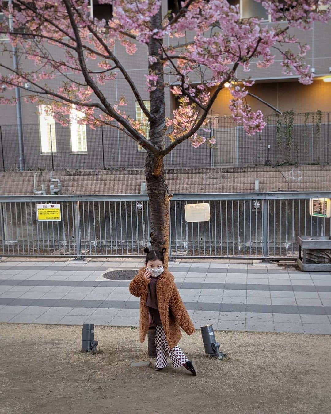 nao_nakabaさんのインスタグラム写真 - (nao_nakabaInstagram)「花粉を感じたあの日から、日に日に目の周りがカサカサに。いろいろ沁みたあげく皮がカリカリになって剥けだした🥲そうなるともう、肌のコンディションが全体的に不調に。いやぁー😭こんなことあんまりないんですが。妊娠中のホルモンも影響しているのかなぁ…。はやくなおしたい🙏🏼  2枚目は、桜の前でかわいいポーズの🧚 ちょっと古めな感じがいいね！  #閉まらぬベスト　#早咲きの桜　#可愛いポーズ対決」2月13日 22時08分 - nao_nakaba