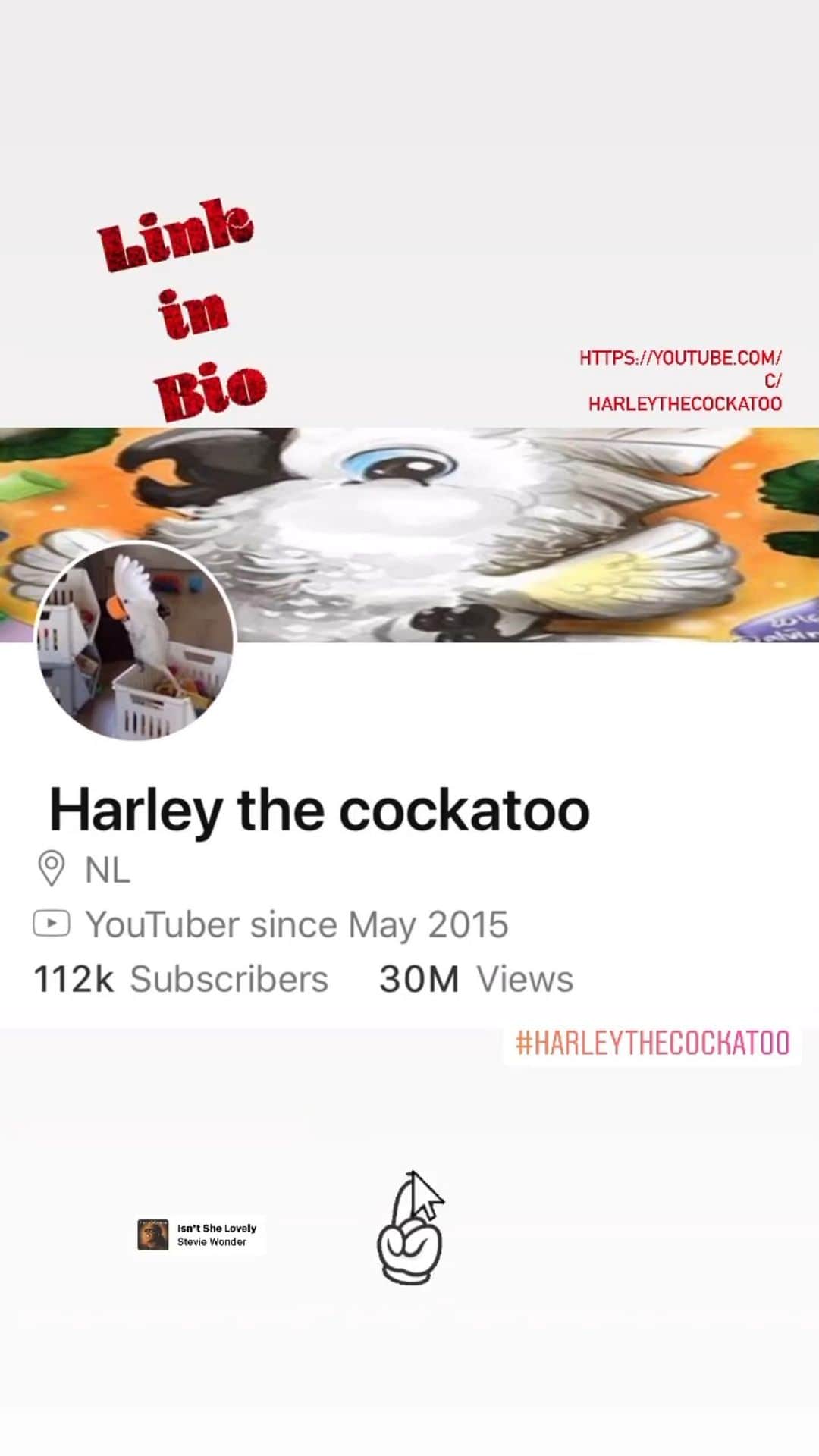 ? Enjoy Harley's Lifeのインスタグラム