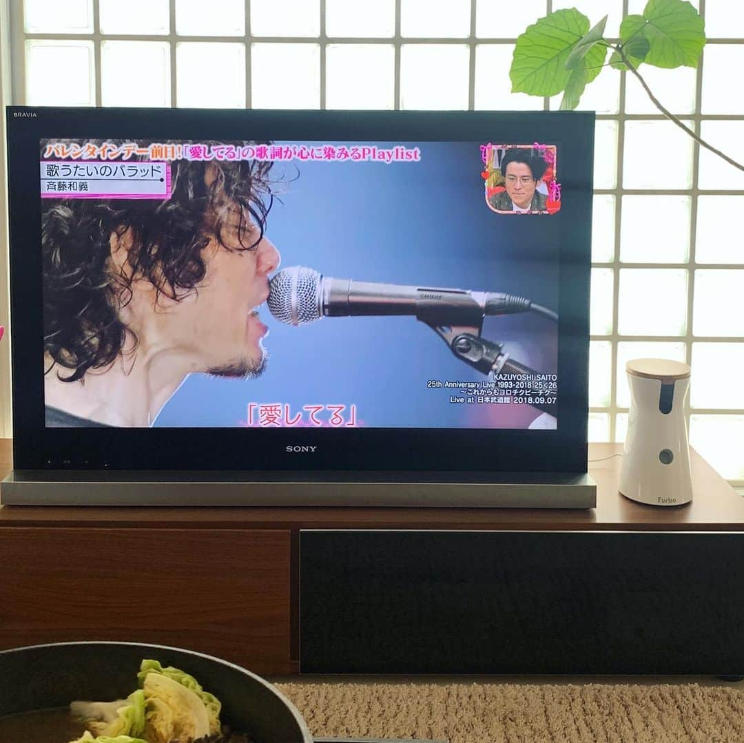 市橋有里さんのインスタグラム写真 - (市橋有里Instagram)「春の食材が出始めましたね♪ ほろ苦い山菜や桜海老やそら豆。 可愛い食材が多い春は好き☻ ちょこちょこいろいろ食べたいなと作って さぁ食べよ！って時に… 斉藤和義が素敵過ぎて見入ってしまう。 何度聞いてもきゅんきゅん❤︎ (ガラニモナク珍しくw) もうお料理そっちのけ🤣 みなさま、よい週末を✨ ・ #小料理屋あり #斉藤和義かっこよすぎ  #うるいと間違えてウドを買ってしまったw #山菜 #桜海老 #春の食材 #火鍋　が食べたくて #器好き @livingmotif」2月13日 13時27分 - ariichihashi