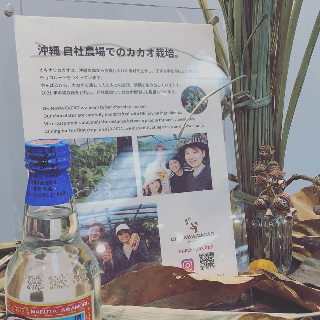 佐藤友紀さんのインスタグラム写真 - (佐藤友紀Instagram)「5年かけてカカオが実りチョコになった。一つに25粒くらい実がついたカカオ。それは、種を蒔き耕し、育てた暁に、実ることを教えてくれました。OKINAWA CACAO  #okinawa #okinawacacao #オキナワカカオ #国内産のカカオ作り#大宜味村 #移住 #バレンタインデー #銀座松屋   バレンタインの前に家族で早速食べ始めてしまってますが！　#風味のある チョコレートです🍫　#やる気スイッチ 入りました！#実るチョコ　なので。 勝手に #験担ぎチョコ　みたいに呼んでますが笑　オーナーそれ、だめですか？」2月13日 13時52分 - satoyuki_627
