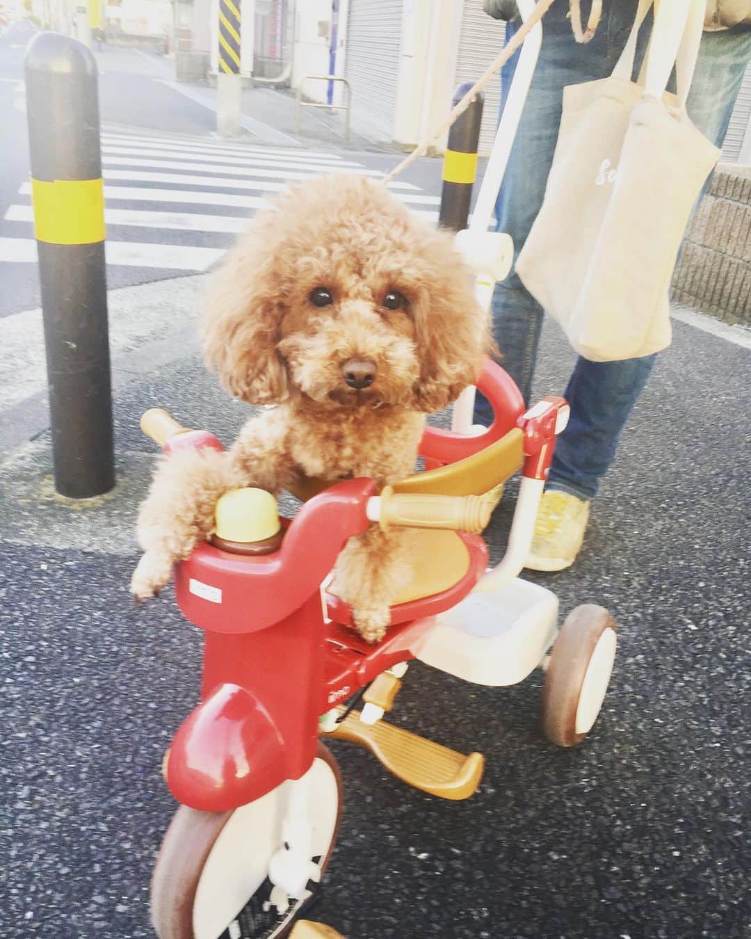 知念芽衣のインスタグラム