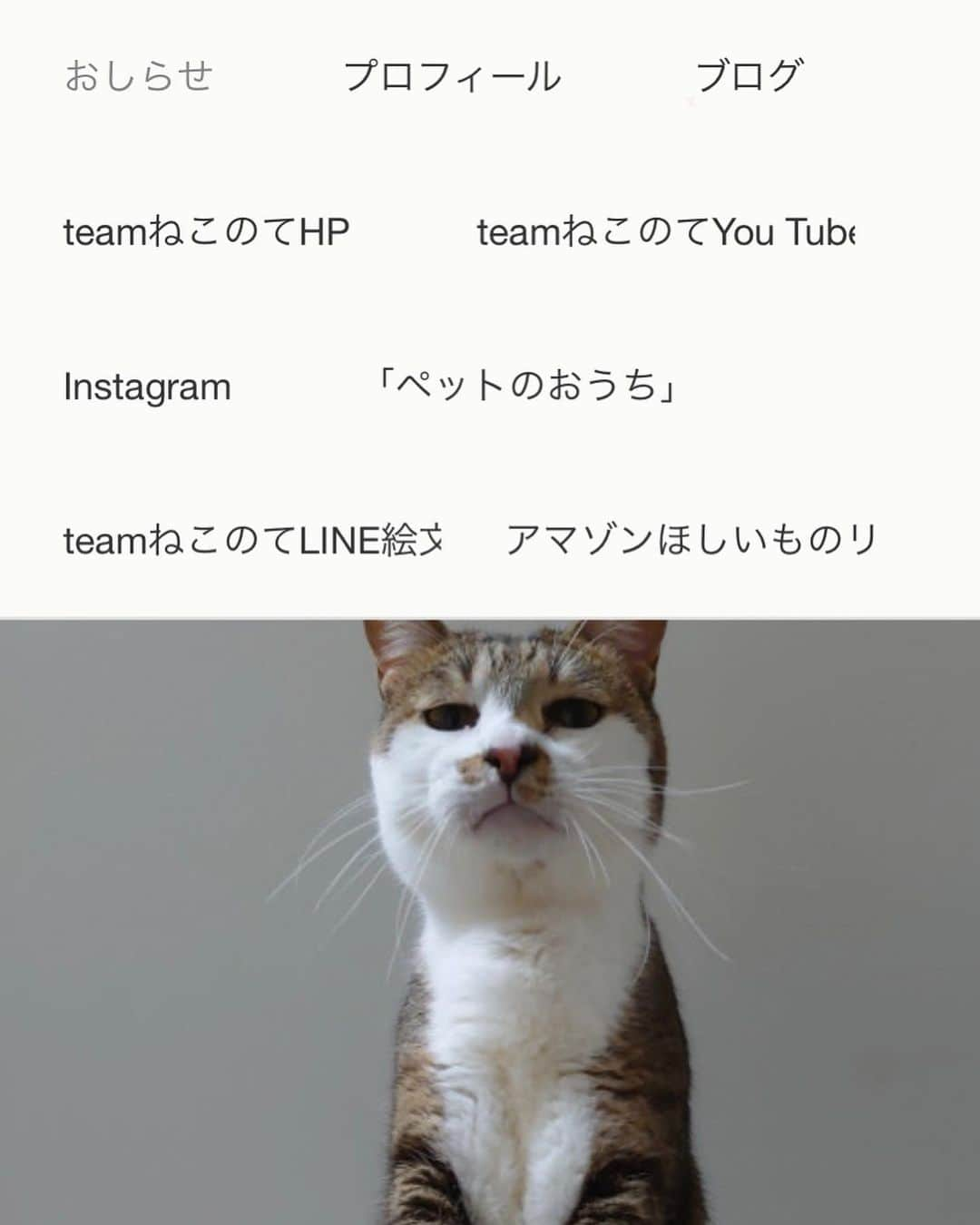 八、おこめさんのインスタグラム写真 - (八、おこめInstagram)「お知らせです🐾 明日2月14日(日)13:00〜15:00 grinさんにて(3枚目の地図を見てね) @nekonote0401 譲渡会を開催します😸 今回は初参加の子達もいま〜す✨ そして、早くもシェルターには子猫達(4・5枚目→ちーねこV6)が保護されてやって来ました♡ 譲渡会参加予定の猫ちゃんや、ちーねこV6の詳しい情報は @nekonote0401 ブログにてチェックお願いします🐾 はなちゃん( @grinhana_ )が『teamねこのて』関係のリンクをわかりやすくまとめてくれました👏 @nekonotecat プロフィールをご覧下さい♩ 6〜8枚目は、まとめ情報にリンクする為の流れです😸 私はついつい告知が遅れてしまうので💦そちらをチェックして頂ければ最新情報がすぐわかります👏 ボランティア仲間目線のシェルターの様子は 👉#シェルター便り を見てね🎶 よろしくお願いします😽❣️ (※ @toitoitoicat の売り上げの一部は、teamねこのてシェルターの子達の為に大切に使わせて頂きます🐾) #teamねこのて #シェルター便り #里親募集 #保護猫 #預かりボランティア #譲渡会 #猫のシェルター #伊丹市 #お掃除ボランティア #ねこ部 #cat #ねこ #猫 #ネコ #toitoitoicat」2月13日 14時39分 - naomiuno