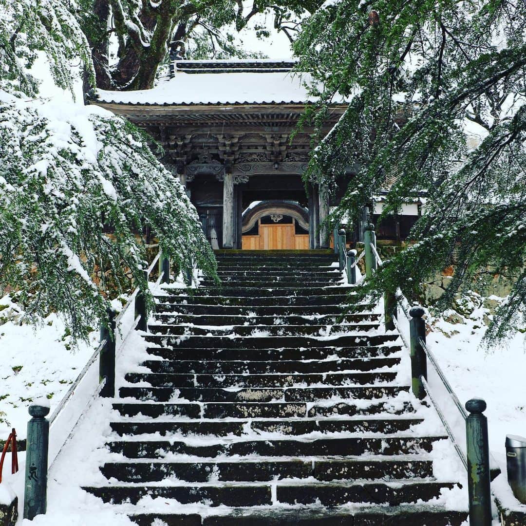 テレビ大阪「おとな旅あるき旅」さんのインスタグラム写真 - (テレビ大阪「おとな旅あるき旅」Instagram)「今日、だいぶ暖かいですね…  今夜のおとな旅あるき旅（テレビ大阪）は、但馬のうまいもんがギュッと詰まった、兵庫・出石～香住への旅です。今日の気候とは真逆の、雪化粧した映像となっていますので、お楽しみに！ ※昨年12月に撮影したものです。  出石の皿そばに、但馬牛、そして松葉がに！これ以上ない極上の組み合わせに、但馬の新酒やどぶろくを合わせて…そして、三田村さんが念願だった“応挙寺”も訪ね、天才絵師の作品に間近で拝見します。  まだ旅に出るのは少しガマンですが、今回もお家でお楽しみください！  今夜　18:30〜  #おとな旅あるき旅#テレビ大阪#三田村邦彦#小塚舞子#兵庫#但馬#香住#出石#辰鼓楼#皿そば#但馬牛#出石焼#白磁#大乗寺#応挙寺#円山応挙#絵師#新酒#香住鶴#松葉がに#カニ刺し#カニ味噌#甲羅酒#かにすき#カニ好き#雪化粧#銀世界」2月13日 15時45分 - tvo.otonatabi