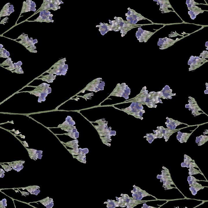 planticaさんのインスタグラム写真 - (planticaInstagram)「Petal Series﻿ Statice ‘Fantasia’﻿ ﻿ ---﻿ Floral Pattern Collection by plantica﻿ プランティカ花柄図案集﻿ ﻿ #plantica #プランティカ﻿ #textiledesign #テキスタイルデザイン ﻿ #floralpattern #花柄 #図案﻿ ---」2月13日 15時56分 - plantica_jp