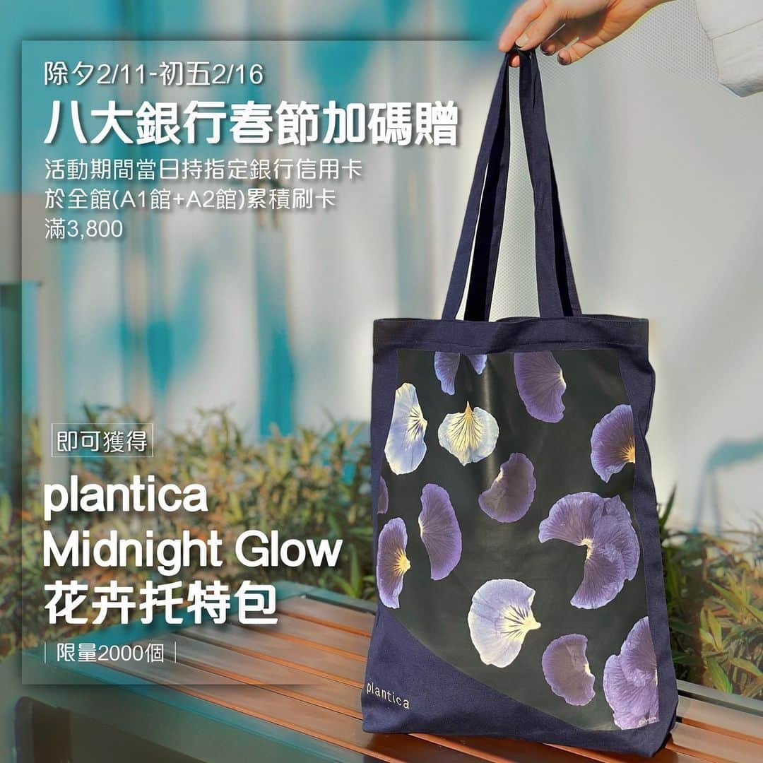 planticaのインスタグラム