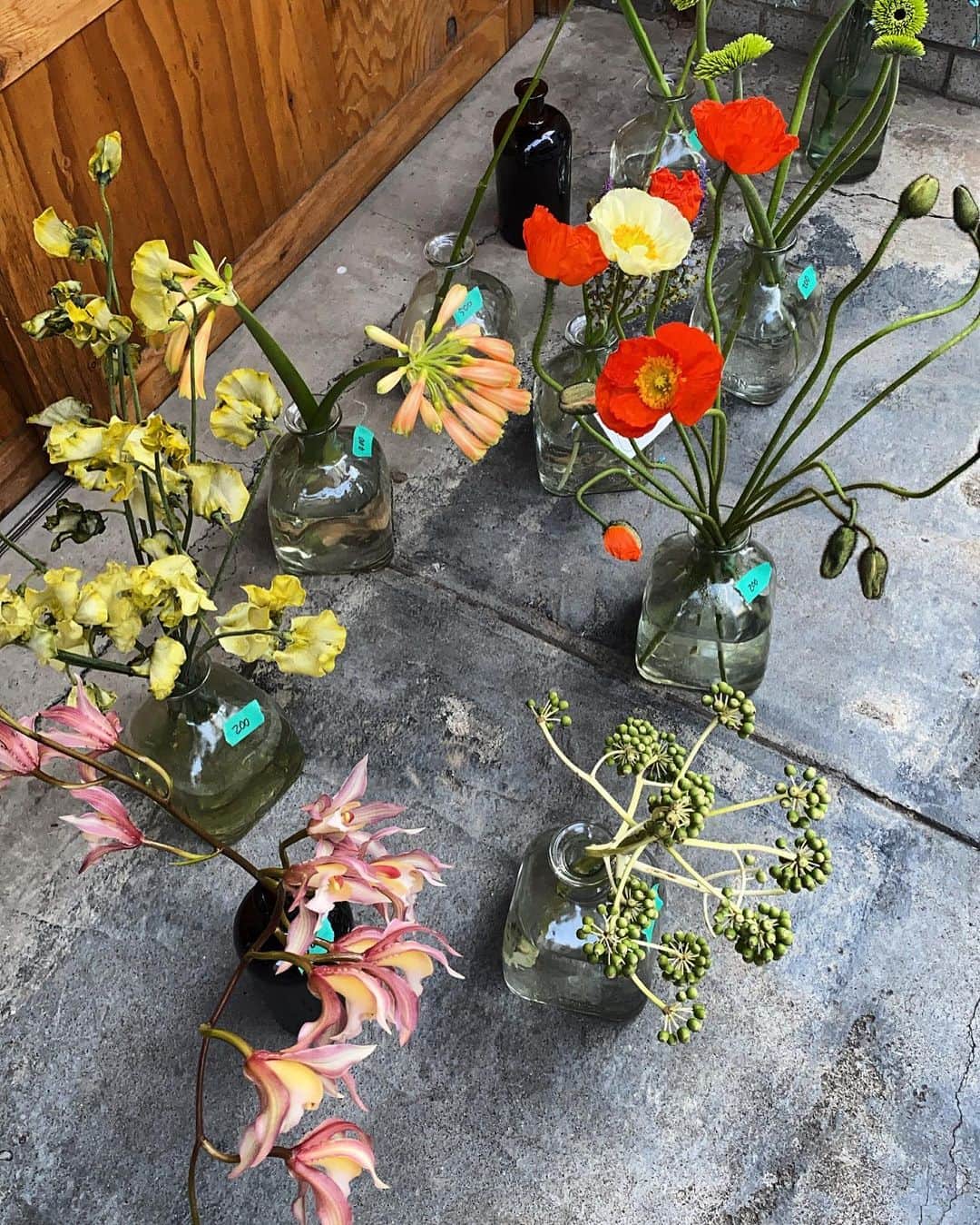 一条ありさのグルメインスタ