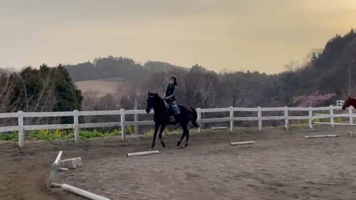 真崎かれんのインスタグラム：「#かれんの乗馬日記 ここ最近、駈歩発進&継続が上手くいかず 心折れそうだったのですが… なんとかできた…😭 ４級ライセンス試験を控えてるので そこまでにもっと上達したい！！😤  1枚目はルイアイザック 2枚目はミッキー  もちろん馬さんそれぞれで、性格や揺れ方、 リズムなど少し違うので どの馬さんに乗ってもスムーズに 綺麗に乗れるようになりたいなぁ💭  #乗馬 #乗馬女子 #乗馬クラブ #駈歩 #馬女子」