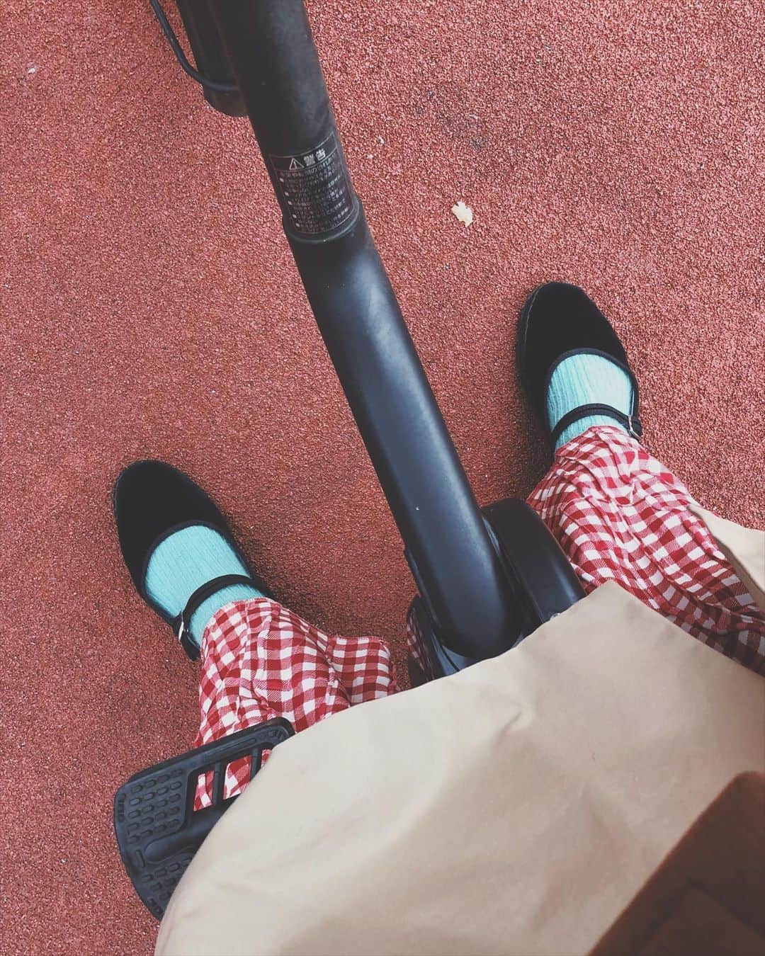 のインスタグラム：「ギンガムチェックは年がら年中×3着たいのよね。モヘアソックス、今日はブルーの日🐦」