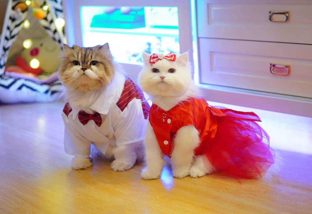 Kenshin & Chloeyさんのインスタグラム写真 - (Kenshin & ChloeyInstagram)「💐 Happy Valentine's Day 😊❤」2月13日 22時32分 - kitty.chloeykenshin