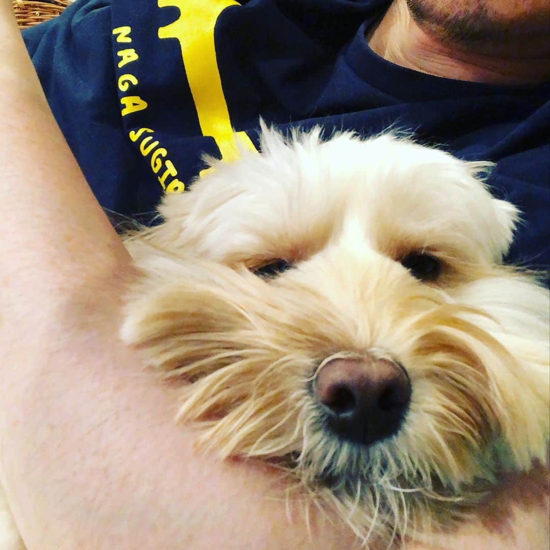 北山陽一のインスタグラム：「自撮り難しい…… #きたやまおもち」