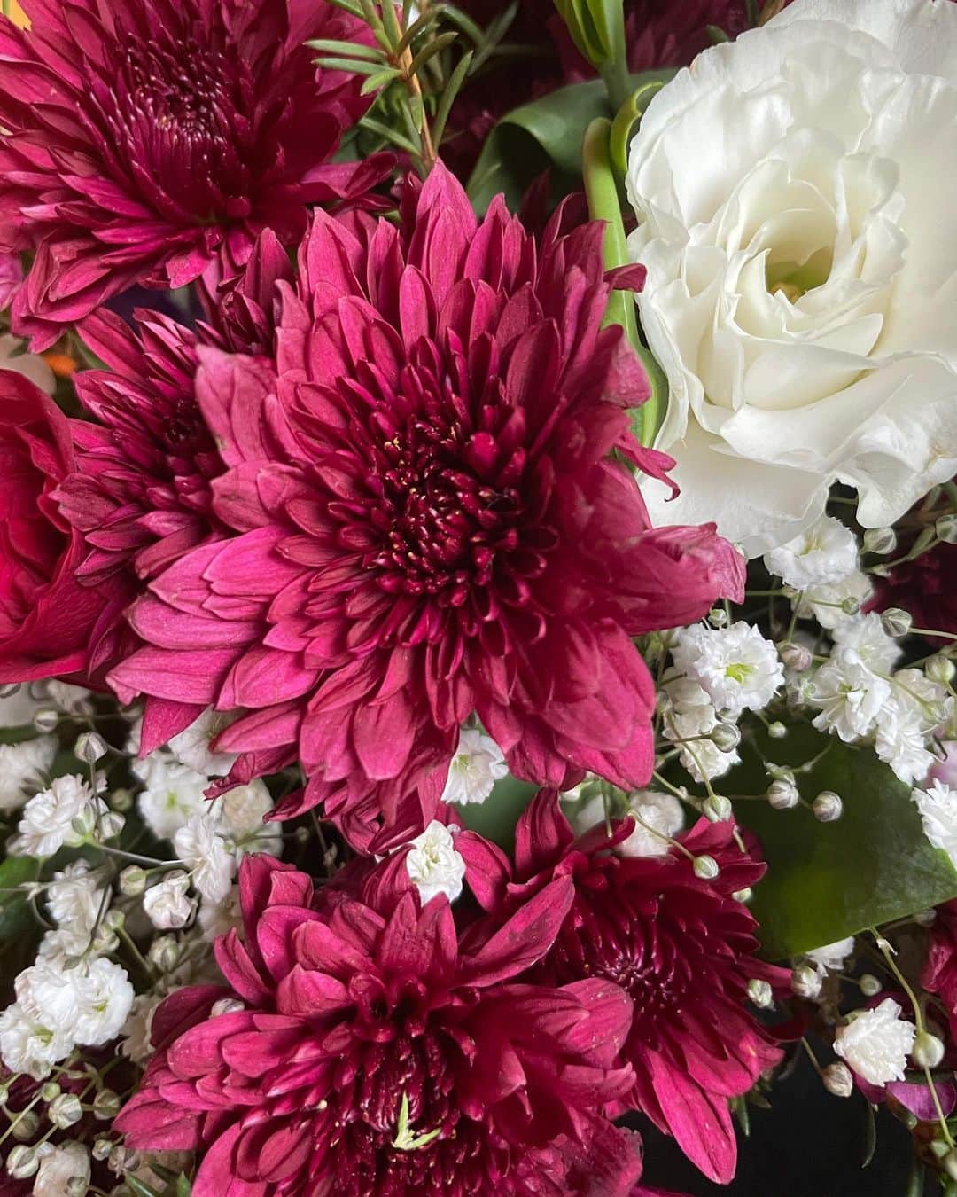 林村ゆかりさんのインスタグラム写真 - (林村ゆかりInstagram)「お正月ってことでこっちのお正月カラーのお花を気持ちだけでも少し買って飾ってみたよ。 みなさんは何のお花が好きかな？私はかすみ草だけとかも好き。今のお部屋にはあまり合わないけど色んな花を飾ると癒されますよね  Happy new year! I got new year's color flower.💐  #happynewyear#singapore#シンガポール#お花好き#お花好きな人と繋がりたい #singaporelife#シンガポール生活#dog#犬のいる暮らし#新年快乐」2月13日 17時40分 - yukarice0