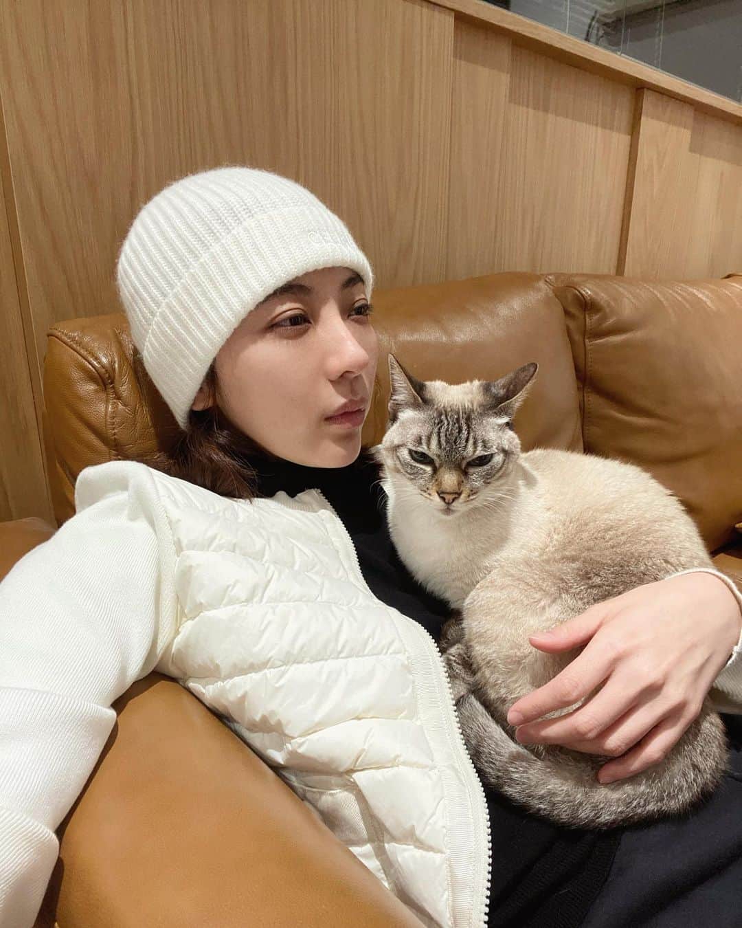 特蕾沙（Teresa）のインスタグラム：「🦁️😺  這個氣勢可以啊 霸氣迎新年了喵  #初二 #chinesenewyear」