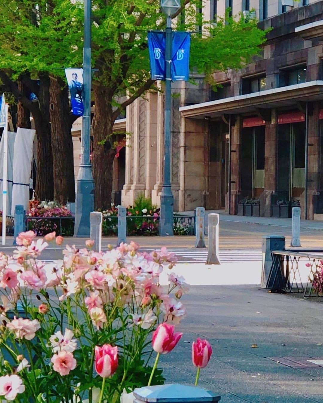 横浜市のインスタグラム