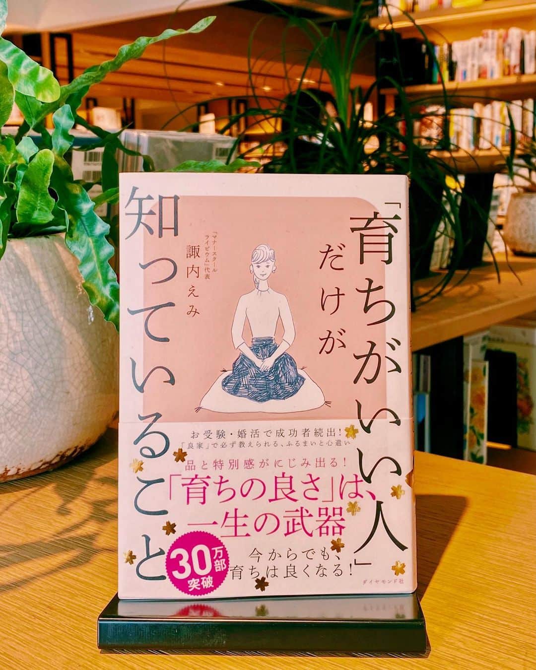 柏の葉 T-SITEのグルメインスタ