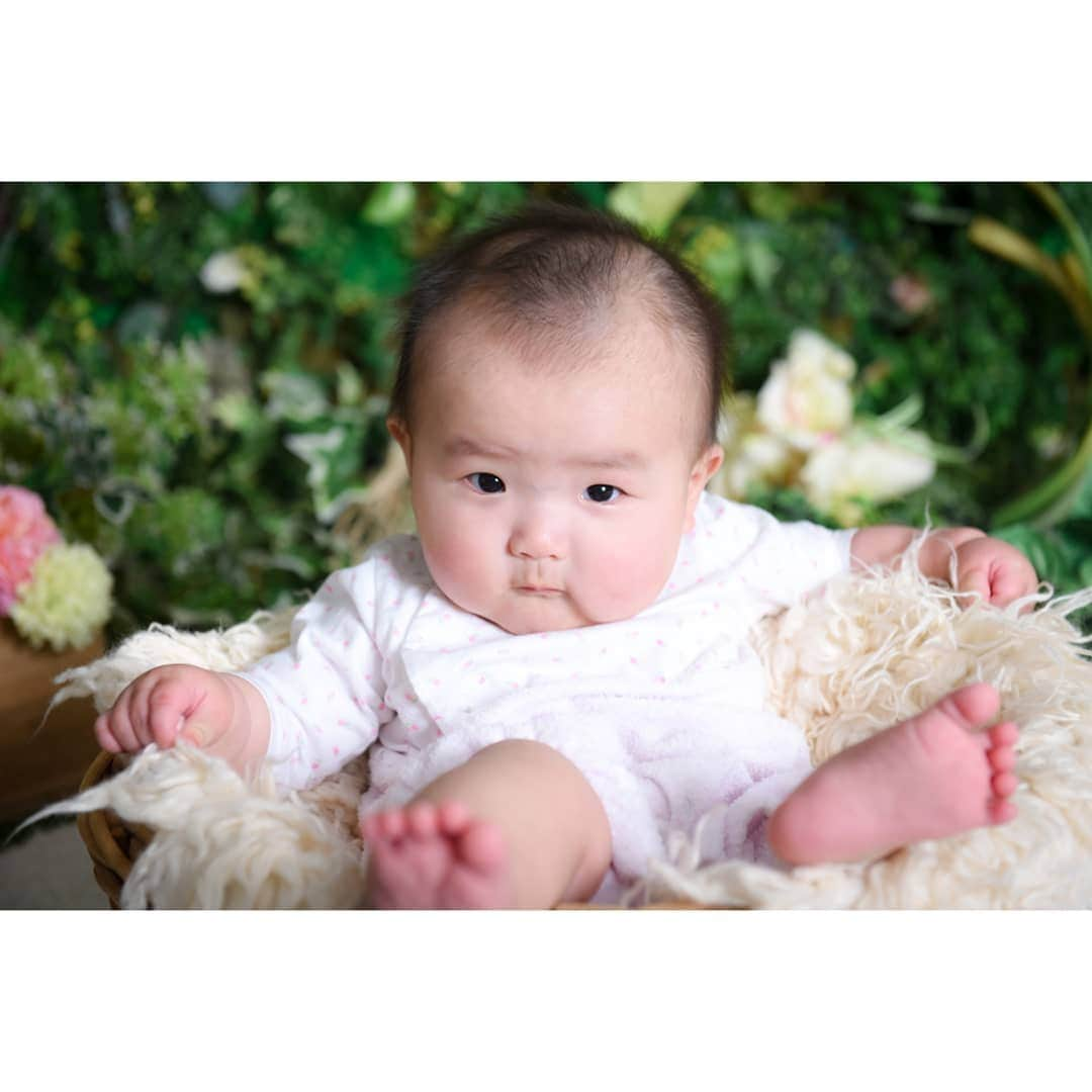 Photo Studio178のインスタグラム：「⁣ ハーフバースデー記念👶⁣ ⁣キリリッ✨✨⁣ ⁣ ✽.｡.:*・ ✽.｡.:* ・﻿⁣⁣⁣⁣ ﻿⁣⁣⁣⁣ ⁣⁣ https://17hachi.com﻿⁣⁣⁣⁣ ﻿⁣⁣⁣⁣ #赤ちゃん #成長記録﻿⁣⁣⁣⁣ #女の子赤ちゃん #ハーフバースデー⁣⁣⁣⁣ #ハーフバースデーフォト ⁣⁣⁣⁣ #オムツ #生後6か月⁣⁣⁣⁣ #居心地いい⁣ #おすわり練習⁣ ⁣⁣⁣⁣ #halfbirthday﻿ #baby⁣⁣⁣⁣ #babygirl #family⁣⁣⁣⁣ #photography⁣⁣⁣⁣ ⁣⁣⁣⁣ #コドモノ #コズレ #ママリ﻿⁣⁣⁣⁣ #ママガール #mamano⁣⁣⁣⁣ #赤ちゃんのいる生活⁣⁣⁣⁣ #子どもの日常をもっと写真に⁣⁣⁣ #赤ちゃんモデル部⁣ #月齢フォト⁣⁣⁣⁣ ﻿⁣⁣⁣⁣ #東京 #月島 #勝どき #豊洲 ﻿⁣⁣⁣⁣ #中央区 #江東区⁣⁣⁣⁣ #フォトスタジオ」