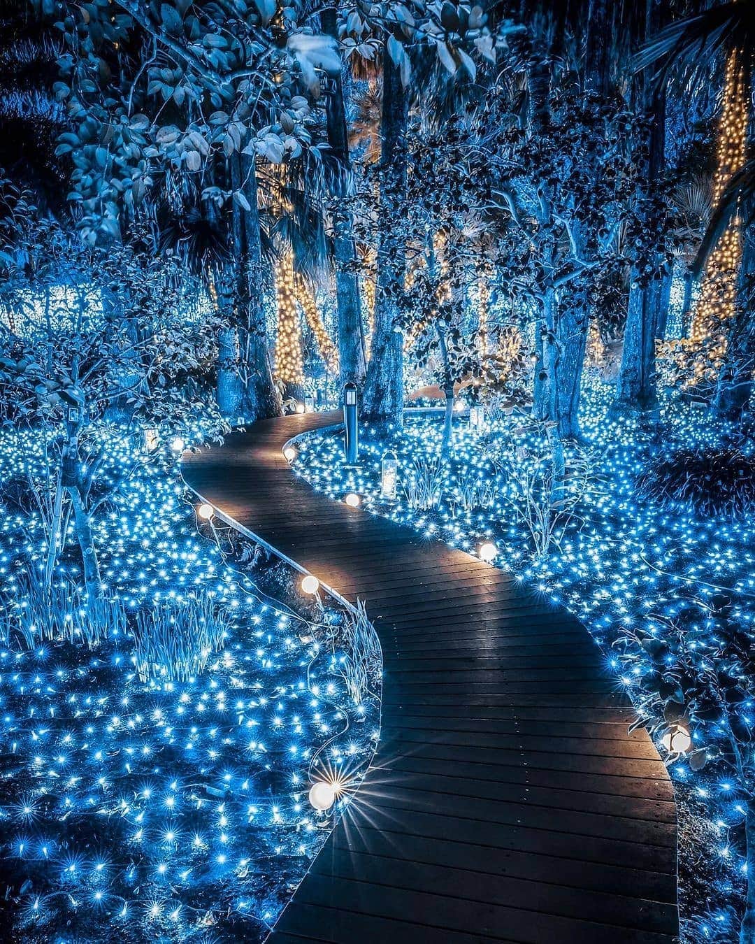 BEAUTIFUL DESTINATIONSさんのインスタグラム写真 - (BEAUTIFUL DESTINATIONSInstagram)「A fairy-tale pathway in Japan. 💡 Sparkling and whimsical, this impressive lane is truly worth a visit.   Usually held from November to March, the Shonan no Hoseki Winter Illumination is an iconic winter event that showcases an award-winning large-scale illumination. These bright and awe-inspiring light shows are housed at the Samuel Cocking Garden and other major landmarks within the vicinity of Enoshina Island.   Have you ever heard of Enoshina Island in Japan? 🇯🇵   📸 @jungraphy_ 📍 Kanagawa Prefecture, Japan」2月13日 18時31分 - beautifuldestinations
