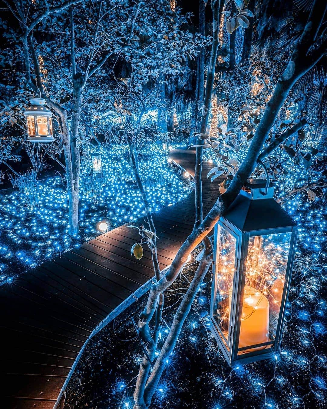 BEAUTIFUL DESTINATIONSさんのインスタグラム写真 - (BEAUTIFUL DESTINATIONSInstagram)「A fairy-tale pathway in Japan. 💡 Sparkling and whimsical, this impressive lane is truly worth a visit.   Usually held from November to March, the Shonan no Hoseki Winter Illumination is an iconic winter event that showcases an award-winning large-scale illumination. These bright and awe-inspiring light shows are housed at the Samuel Cocking Garden and other major landmarks within the vicinity of Enoshina Island.   Have you ever heard of Enoshina Island in Japan? 🇯🇵   📸 @jungraphy_ 📍 Kanagawa Prefecture, Japan」2月13日 18時31分 - beautifuldestinations