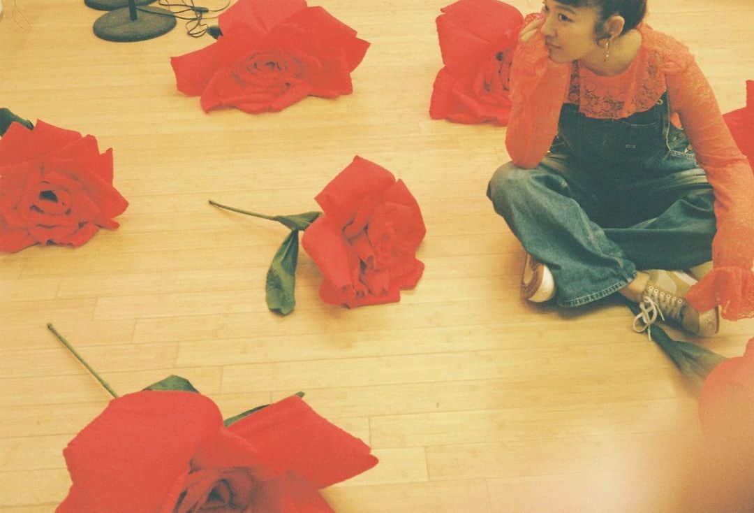 トリイクニコさんのインスタグラム写真 - (トリイクニコInstagram)「これ何年前のフィルムだったんだろうか…w  @littlesunnybiteyoppy  薔薇に囲まれたヨピコがたくさん出てきました🌹🌹🌹  #フィルムカメラ  #トリイカメラ」2月13日 18時54分 - toriicamera