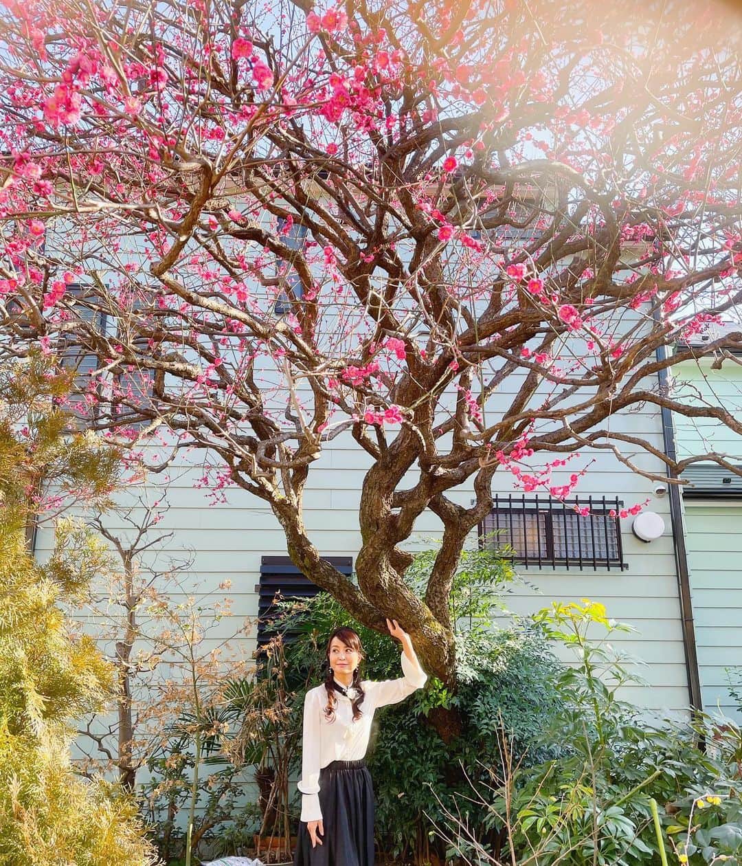 大桃美代子さんのインスタグラム写真 - (大桃美代子Instagram)「梅は光で、桜は温度で咲く、、、と言われます。  東京の梅はキレイに咲いています。  三寒四温。  春は来てますね。  （花粉も飛んでます）  #桜#梅 #東京　#開花情報　#oodt  #ファッション　#春　#spring #大桃美代子　#ブランディングコーチ　#コンサルタント　#coaching #coach #ライバー#ビジネスライバー　#オンラインビジネス　#プレゼンテーション　#japan #tokyo#いま深呼吸したい場所#」2月13日 18時56分 - miyoko_omomo