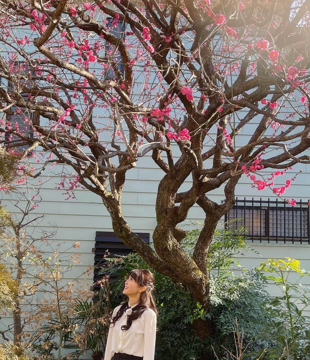大桃美代子さんのインスタグラム写真 - (大桃美代子Instagram)「梅は光で、桜は温度で咲く、、、と言われます。  東京の梅はキレイに咲いています。  三寒四温。  春は来てますね。  （花粉も飛んでます）  #桜#梅 #東京　#開花情報　#oodt  #ファッション　#春　#spring #大桃美代子　#ブランディングコーチ　#コンサルタント　#coaching #coach #ライバー#ビジネスライバー　#オンラインビジネス　#プレゼンテーション　#japan #tokyo#いま深呼吸したい場所#」2月13日 18時56分 - miyoko_omomo