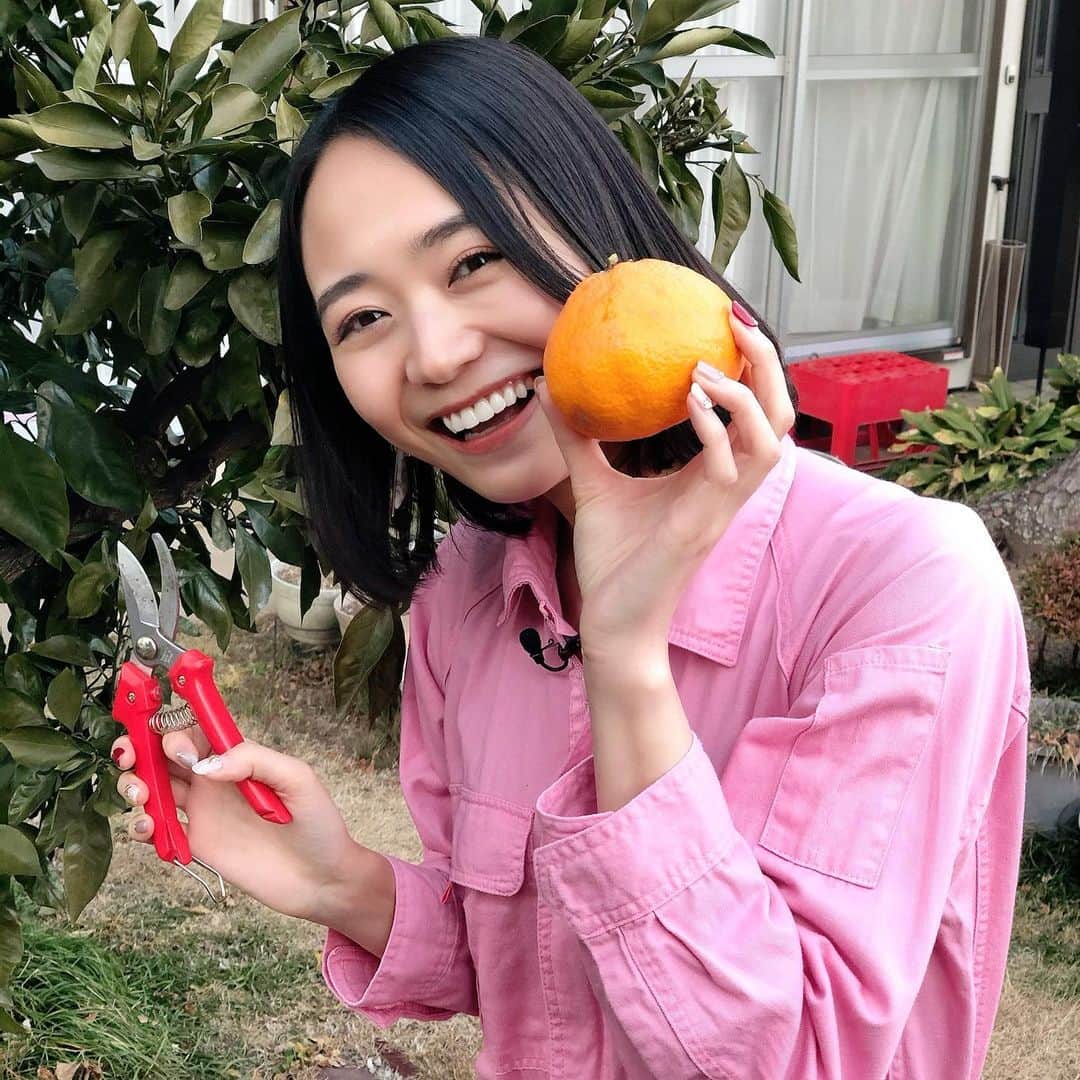 緑川静香のインスタグラム：「【お知らせ】﻿ ﻿ 今週17日(水)23:59〜日テレ系全国﻿ 『それって⁉︎実際どうなの課』﻿ ﻿ 出演させて頂きます😌✨﻿ ﻿ もちろん不用品企画❤️﻿ なんと番組最古の商品が現る！？﻿ 物置にありがちなアウトドア用品もたっぷり！！﻿ 果たしていくらになるのか…！？﻿ ﻿ ぜひぜひご覧ください🥰﻿ ﻿ #それって実際どうなの課  #ピンクつなぎちゃん  #今回のご自宅は #庭にみかんの木があって #狩らせてもらいました笑 #いつもお家の中だからつい写真撮り忘れてしまうのだけど #基本外だったから写真たくさん✨笑 #出品物で遊んではいけません← #しかしこの時期のつなぎ一枚の外ロケは激寒だった笑 #ホッカイロ身体中に貼り付けて頑張ったので観てください #お楽しみに☺️」