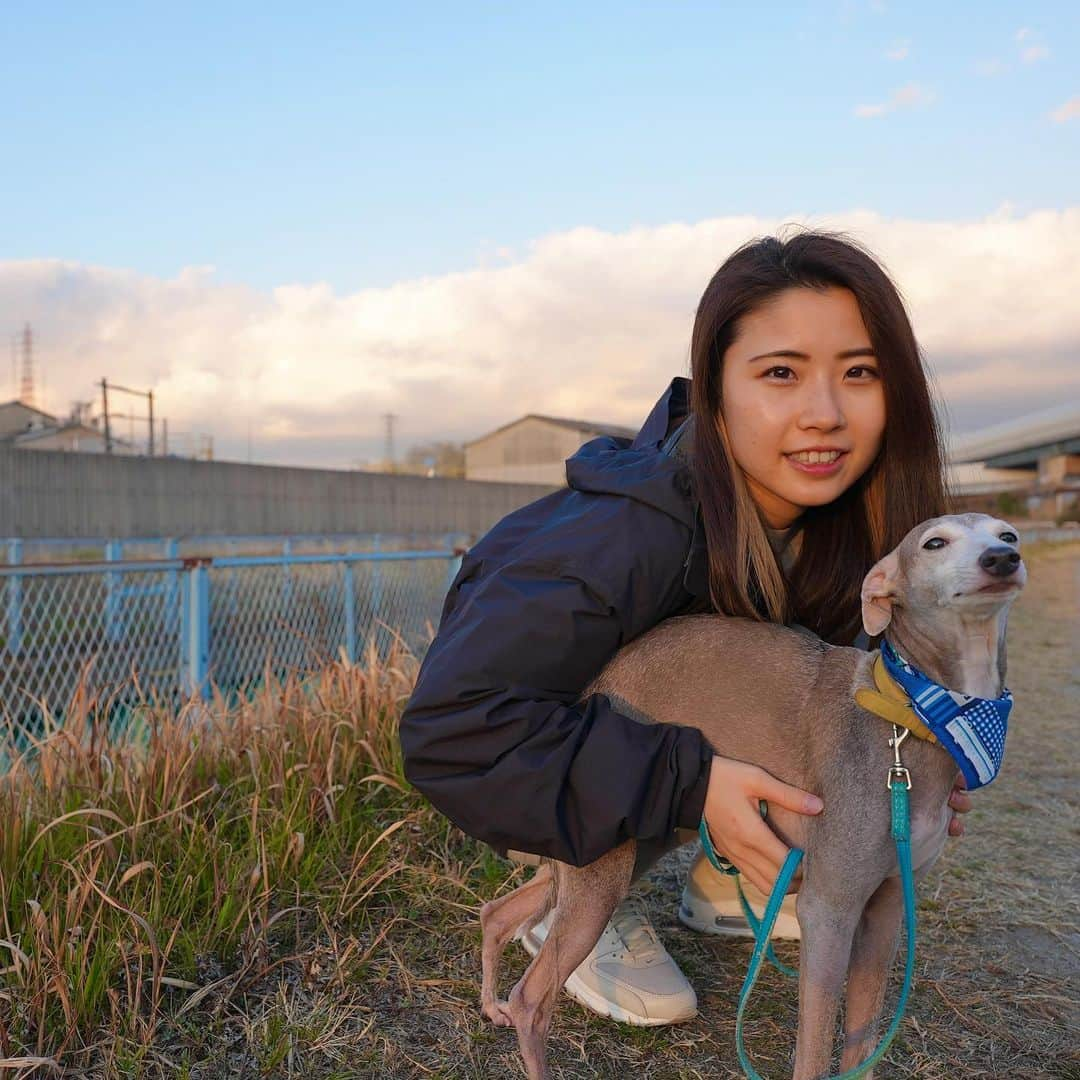 さくらさんのインスタグラム写真 - (さくらInstagram)「ヨーダと散歩🦮﻿ ﻿ どこか哀愁に満ちた写真たちをどうぞ🤣 散歩日和でした！ #何枚目が好き？ #3枚目ヨーダ隠せてないで。﻿ ﻿#イタグレ #薬学生#腹筋女子﻿ #筋トレ#筋トレ女子#腹筋#おしり#fitness#ダイエット　﻿ #bodymake#homeworkout#bodycombat#hiitworkout #diet#healthylifestyle#gym#booty」2月13日 19時26分 - sakufitness