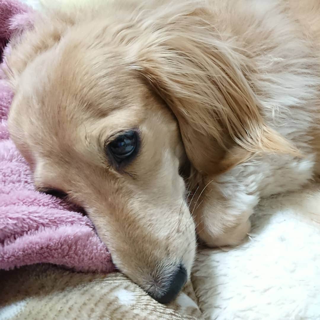 kazumiのインスタグラム