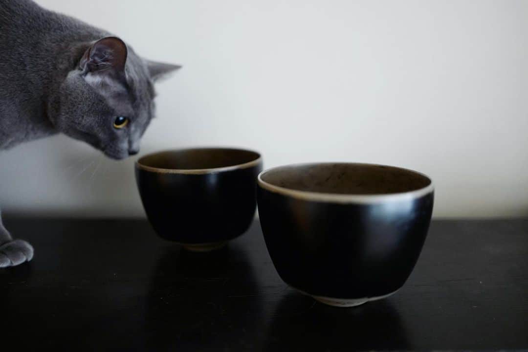 行方 久子 Hisako Namekataのインスタグラム：「. 伊勢丹新宿店での催事「時」では、 杉田明彦さんの漆器も置かせていただいています。 マットでモードで、他にはなかなかない杉田さんならではの作品たち。  昨日の夜、インスタライブさせていただいた 堤浅吉漆店の4代目卓也さんのお話しも興味深いものでした。  縄文時代から、わたしたちの暮らしに美意識を与えてくれた漆について もう少し深く知りたい！」