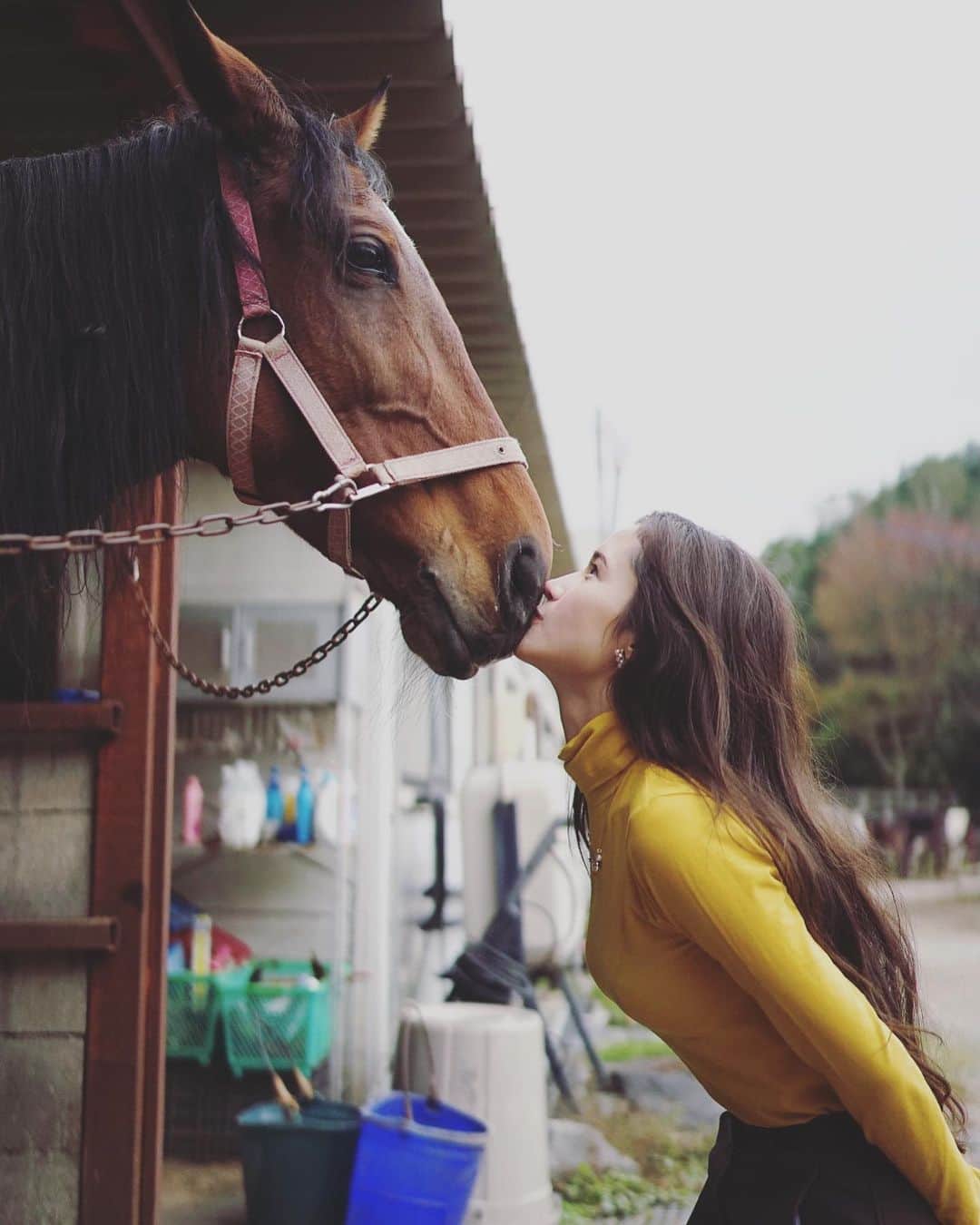 fukishaljのインスタグラム：「Bisous 😘 1.2.3...💋🐴？ あしたはバレンタイン♪」