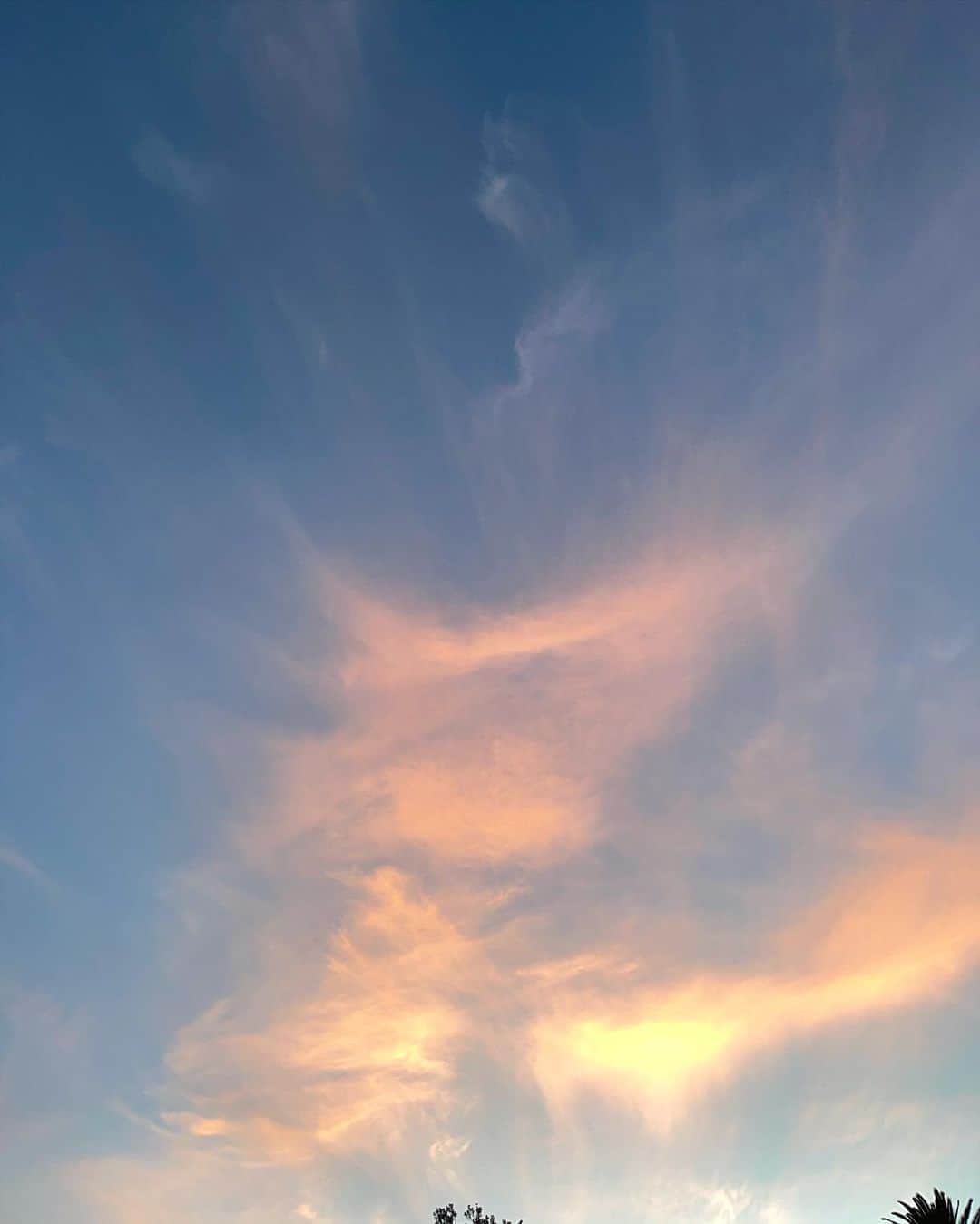 Victoria Leeのインスタグラム：「🌝 wispy」