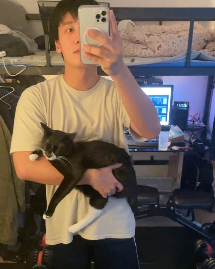 チェ・チャンヨプのインスタグラム：「육아란.. #🐱 #까치」