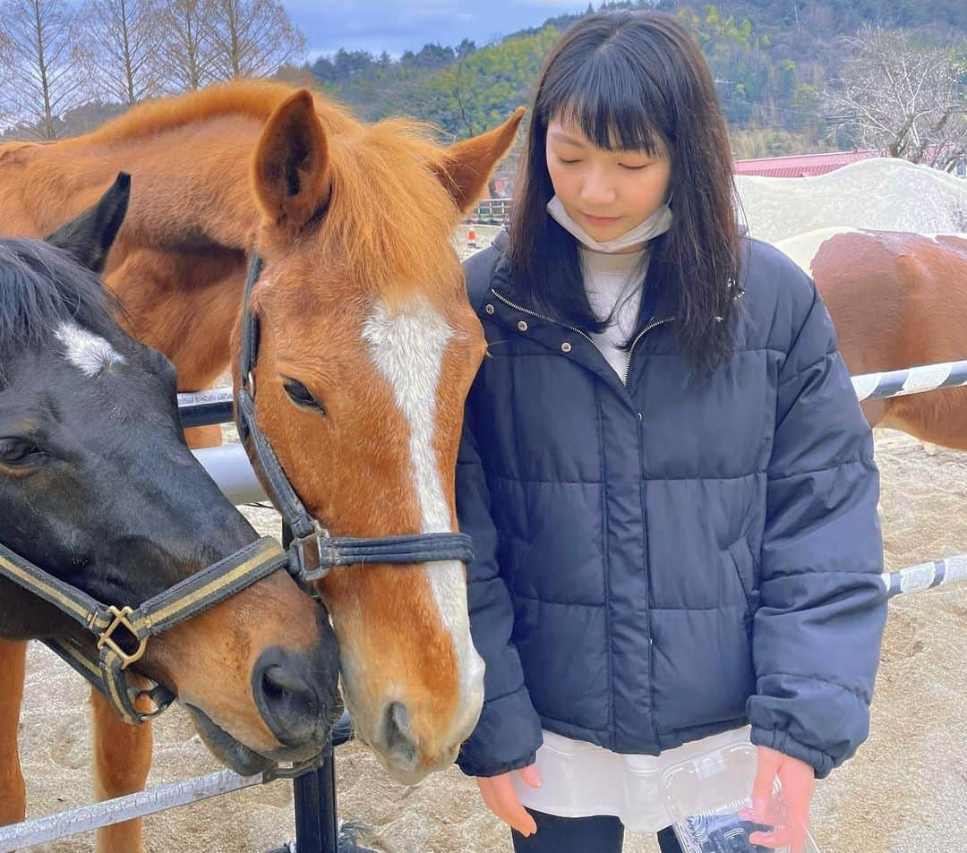 ゆきのしんのインスタグラム：「今日は、私の名付け親のユキノビシンの2番仔ユキノクエーサーに会ってきました😭 19年ぶりの再会でした！  まさか、また会えるなんて思っていなかったので本当に嬉しかったですし、覚えていてくれたのかな？ずっと後をついて歩いてくれていました😂🙏  優しい方に囲まれて過ごせて、幸せな余生が送れていることに本当に感謝と感動です😭  これから一頭でもえーちゃんのように幸せな余生を送れる馬が増えることを願っています！  私はもっと頑張って将来、馬がのびのび幸せに暮らせる環境を作ったりするお手伝いがしたいです！  会わせていただき本当にありがとうございました！  #馬 #ユキノビジン #ユキノビジン産駒 #ユキノクエーサー #ノア #馬好き」