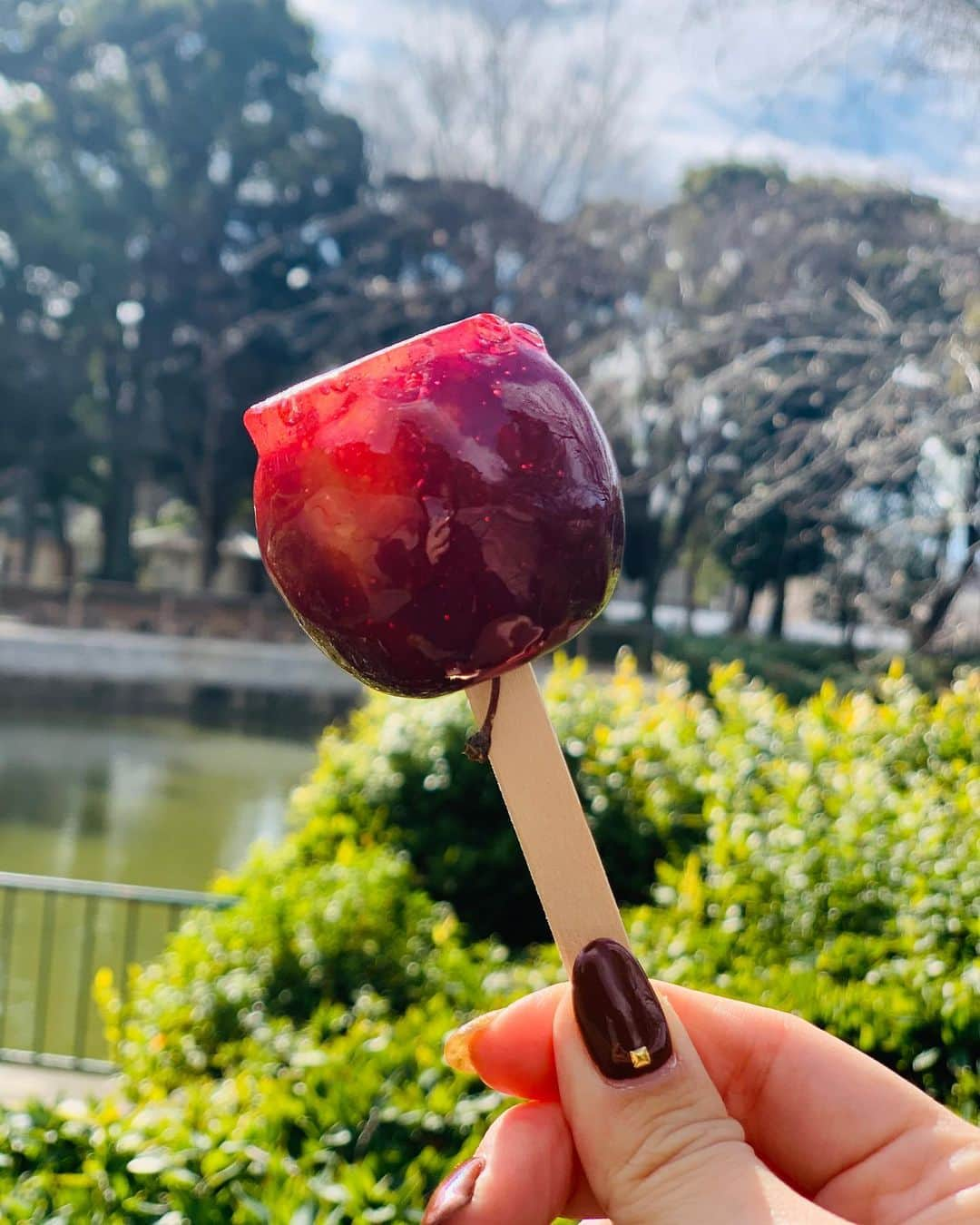 あいちの甘いやつさんのインスタグラム写真 - (あいちの甘いやつInstagram)「東区の大通り沿いにあるitalian cafe LOKOさんに行ってきた🙌🏻✨  スイーツのテイクアウトもできるということで❤︎ ショーケースには綺麗で可愛いスイーツがいっぱい🥰  LOKOショートケーキ🍰と一目惚れしたLOKOりんご飴をお持ち帰り✨  お天気がいい日には近くの公園で食べるのもまたいい☀️  最初はそのまま🍓半分くらい食べたらスポイトのイチゴソースをかけて味変☺️🍓 これまた酸味があって美味しい✨  りんご飴も小ぶりで食べやすいサイズ✨  全てが可愛いすぎたぁー😍  #名古屋カフェ #名古屋カフェ部 #あまなび #名古屋インスタ交流会 #インスタグルメアワード2021 #genic_sweets #インスタグルメショー #グルメディア #trevary #nagoya_style #イタリアンカフェロコ」2月13日 20時46分 - asuka_nagoya