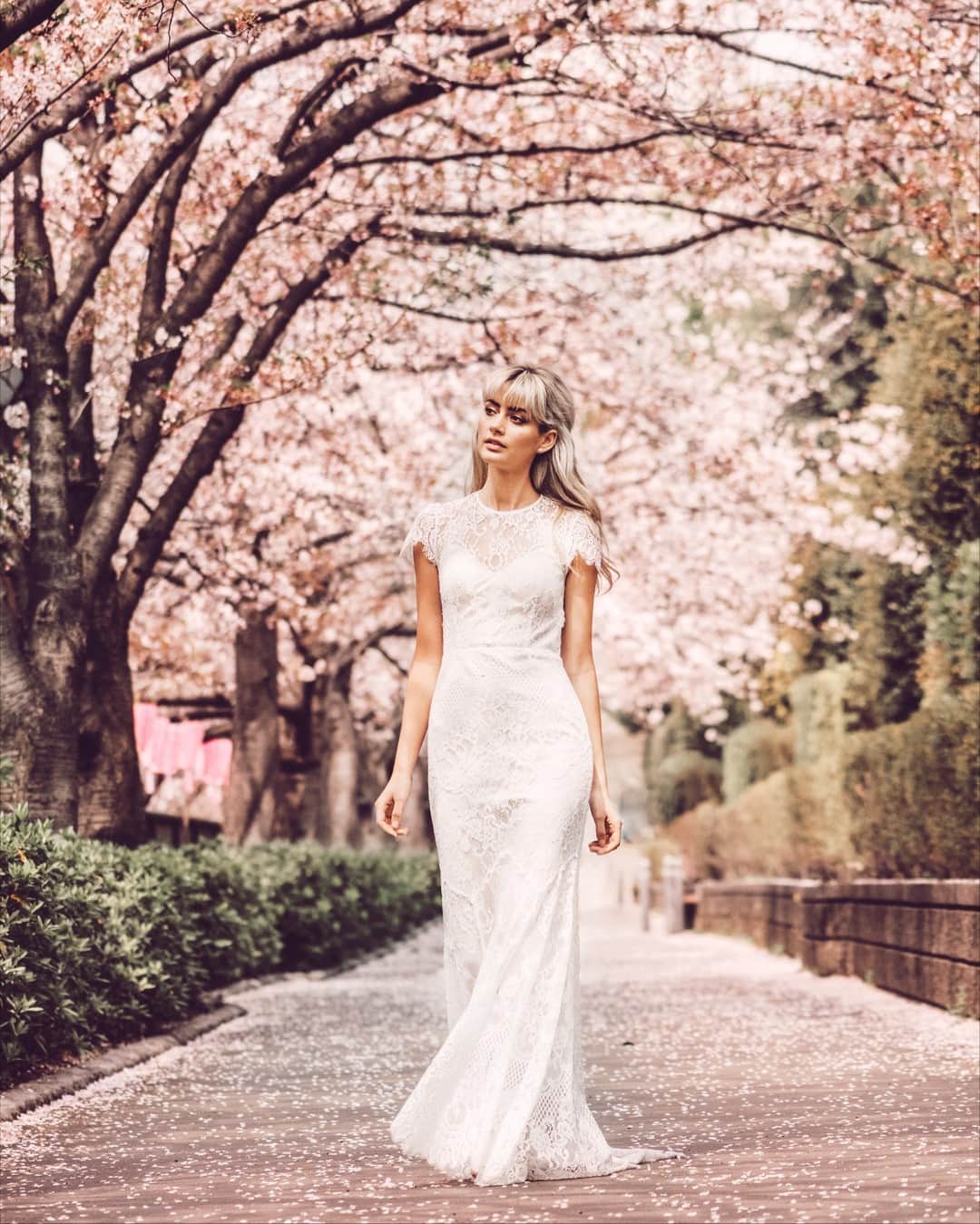 キャサリンディーンさんのインスタグラム写真 - (キャサリンディーンInstagram)「#bridalmakeup ⠀⠀⠀⠀⠀⠀⠀⠀⠀ #wedding⠀⠀⠀⠀⠀⠀⠀⠀⠀  #weddingdress ⠀⠀⠀⠀⠀⠀⠀⠀⠀ #weddingdressinspiration⠀⠀⠀⠀⠀⠀⠀⠀⠀ #weddinggown」2月14日 6時45分 - catherine__deane