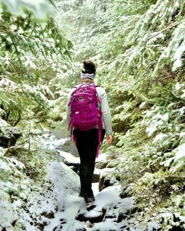 オスプレーのインスタグラム：「"Color! What a deep and mysterious language, the language of dreams." - Paul Gauguin 📷 by @fayefully_yours  Featured pack from the 24/7 Series #ospreypacks」
