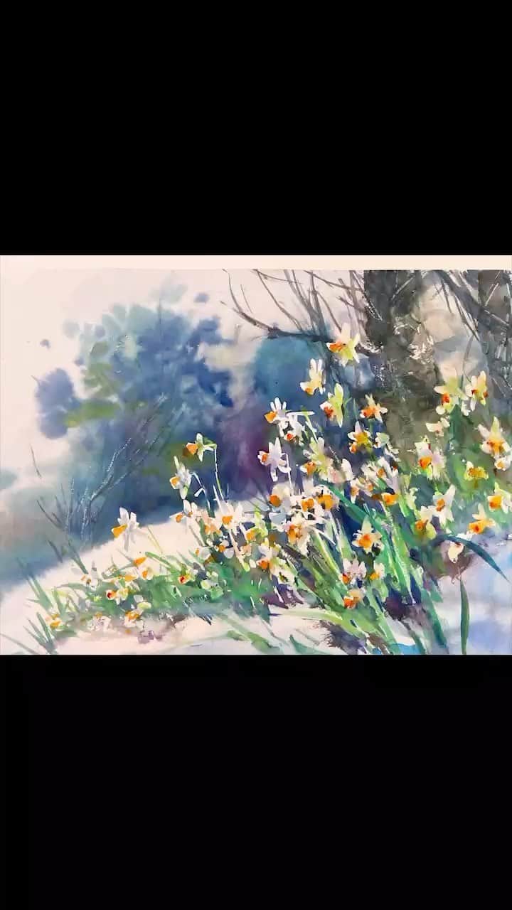 柴崎春通のインスタグラム：「Daffodils 水彩で水仙を描きましたよ🤗 #shiba_watercolor #watercolor #watercolorpainting #painting #drawing #水彩画 #水彩 #水仙」